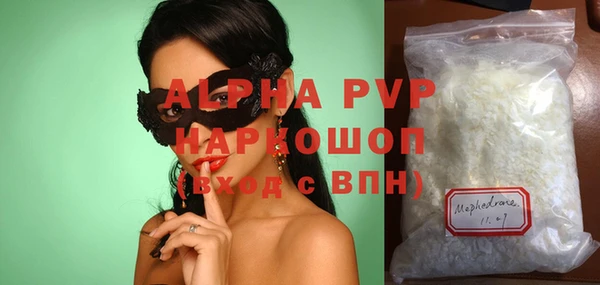 индика Болхов