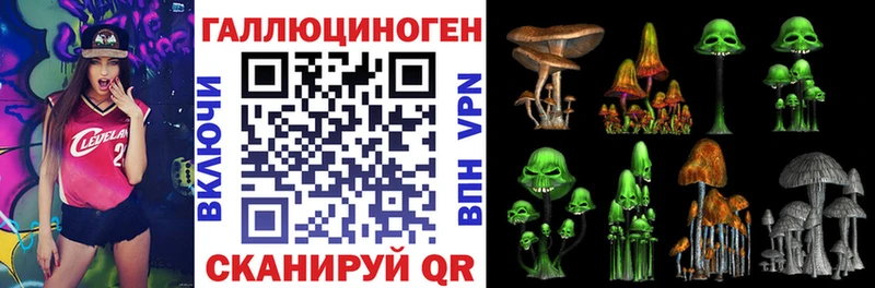 Псилоцибиновые грибы Psilocybine cubensis Краснозаводск